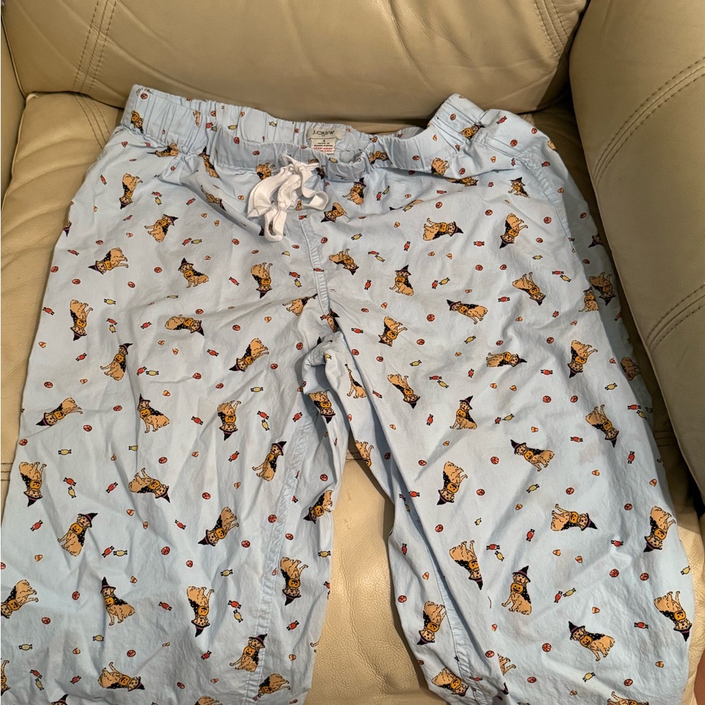 J. Crew Light Blue Pajama Pants with Dog Print golden retriever